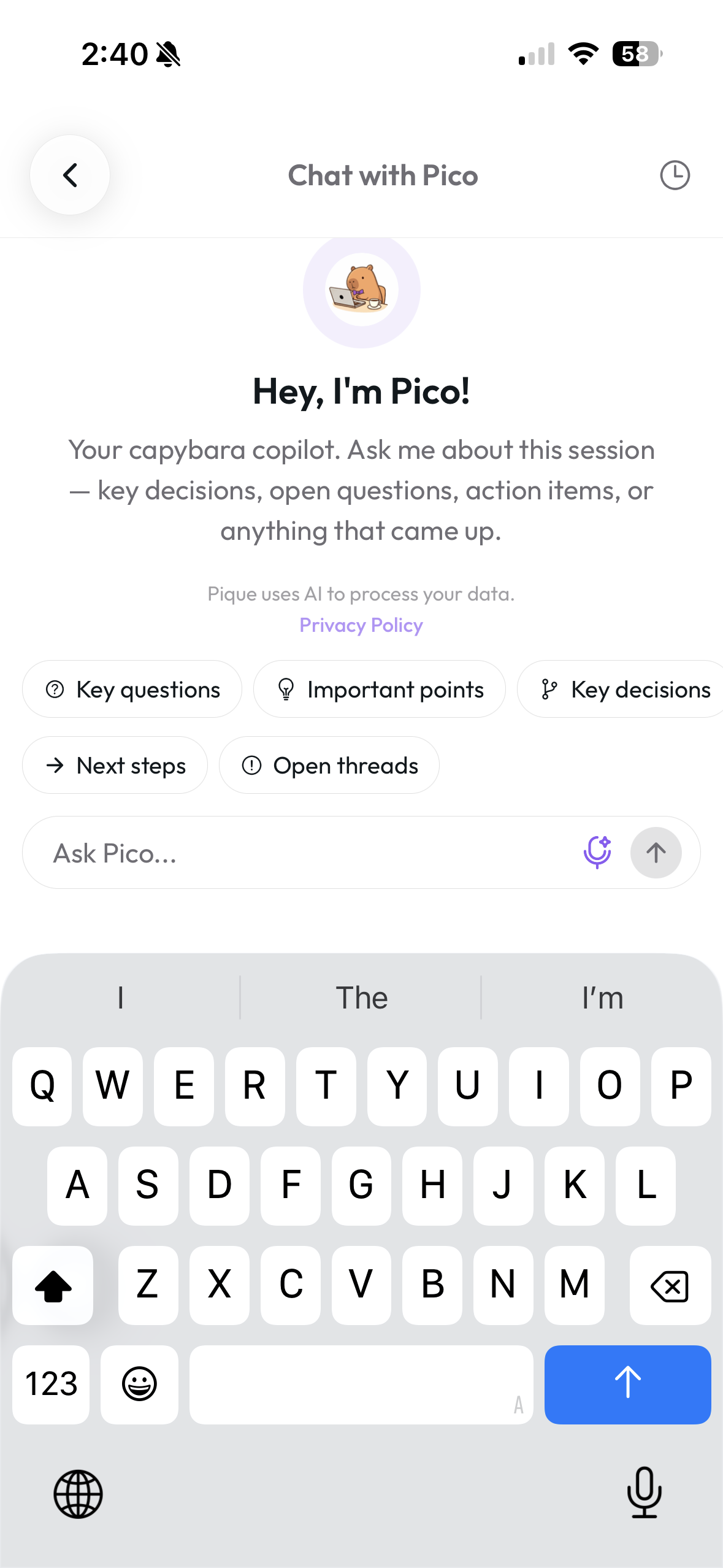 Chat with Pico — Hey, I'm Pico! intro screen with suggestion chips